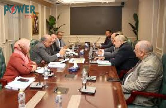 وزيرا الكهرباء وقطاع الأعمال يبحثان الاعتماد على الطاقات المتجددة بالصناعات 